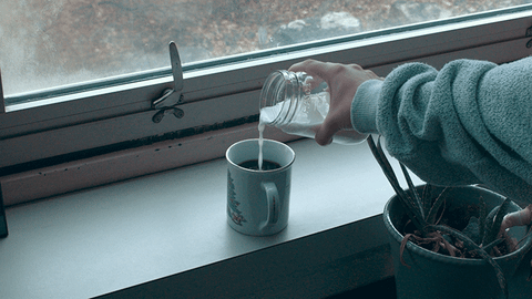 forever coffee